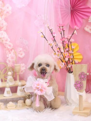 20250312マロンちゃん